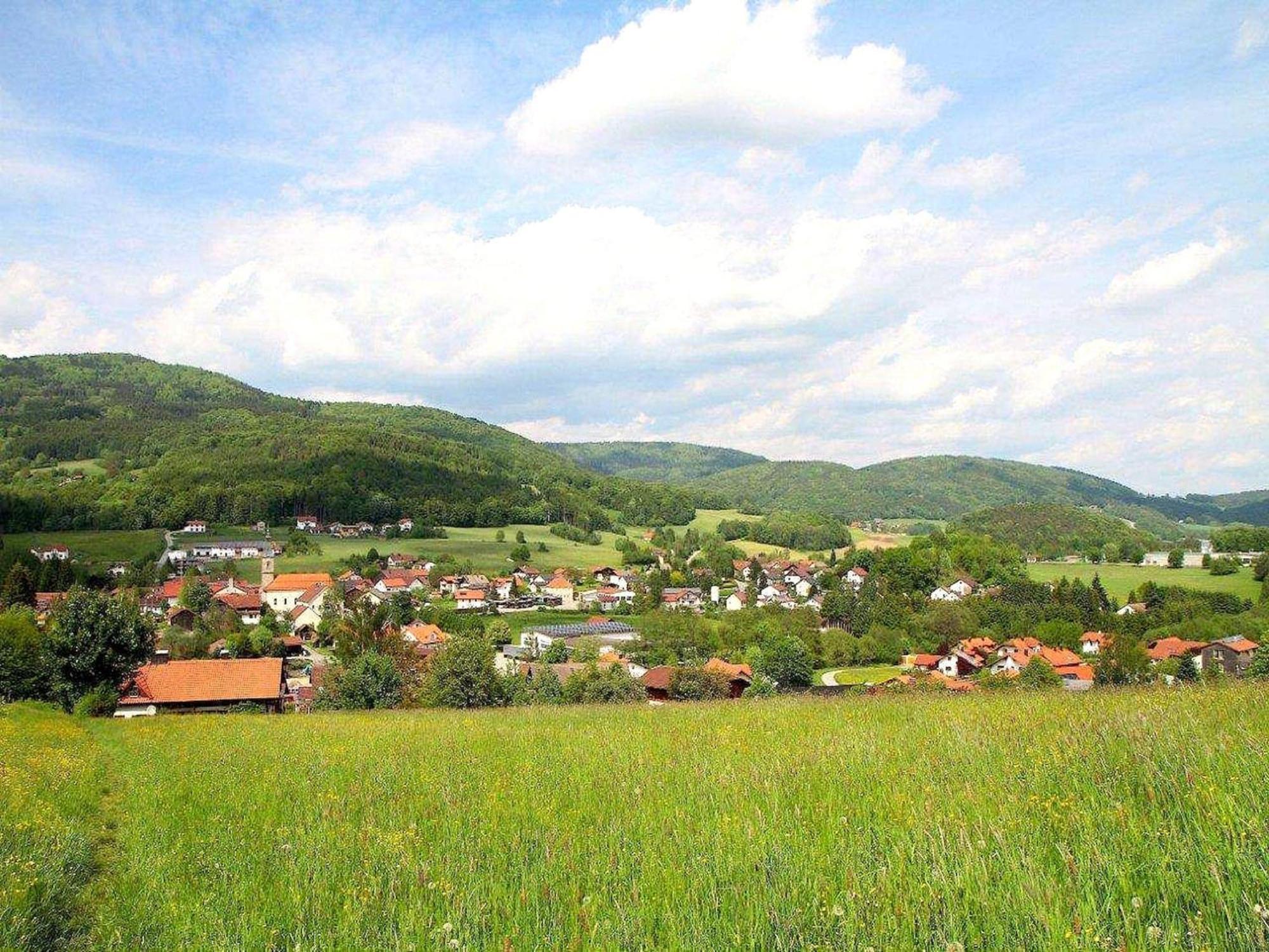 Comfortable Apartment In Zenting In Lower Bavaria Εξωτερικό φωτογραφία