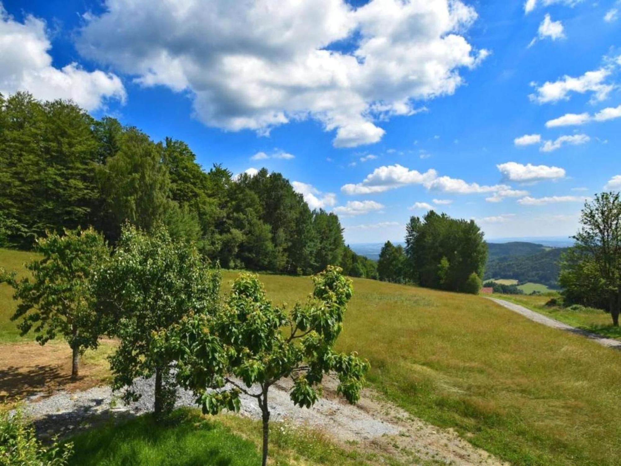 Comfortable Apartment In Zenting In Lower Bavaria Εξωτερικό φωτογραφία