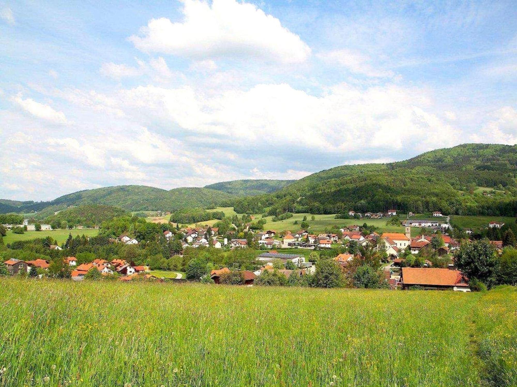 Comfortable Apartment In Zenting In Lower Bavaria Εξωτερικό φωτογραφία